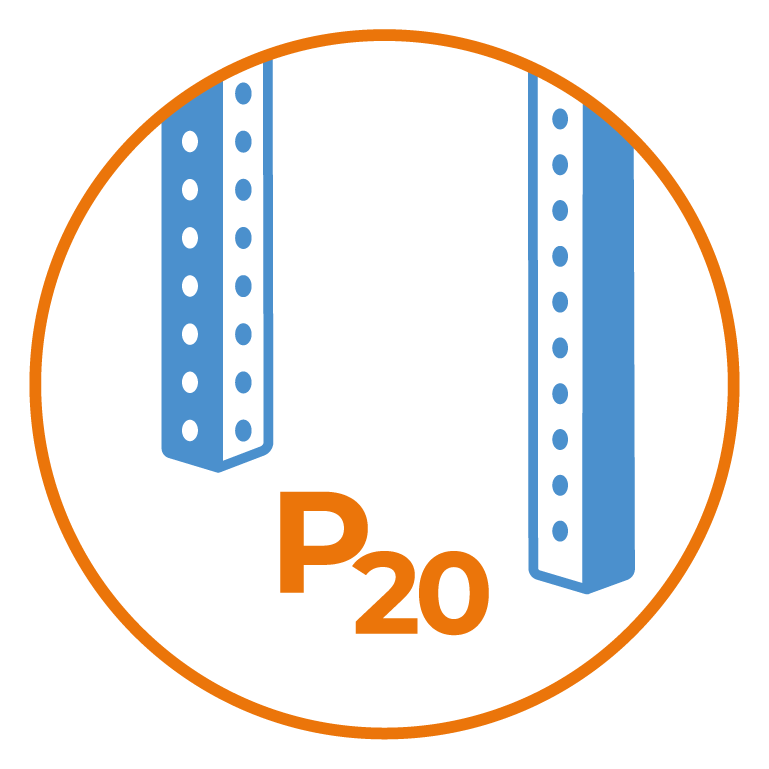 P20